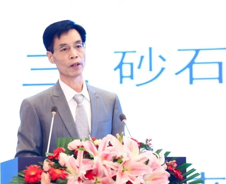 主旨報(bào)告 | 胡幼奕以國(guó)際化視角，提出固廢綜合利用和生態(tài)環(huán)境修復(fù)新思路